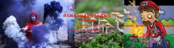 эйфоретик Новозыбков