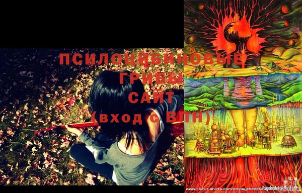 прущая мука Новодвинск