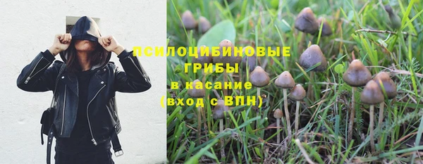 эйфоретик Новозыбков