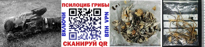 Псилоцибиновые грибы Cubensis Новоузенск