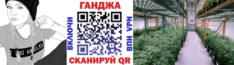 Бошки марихуана OG Kush  магазин    Новоузенск 